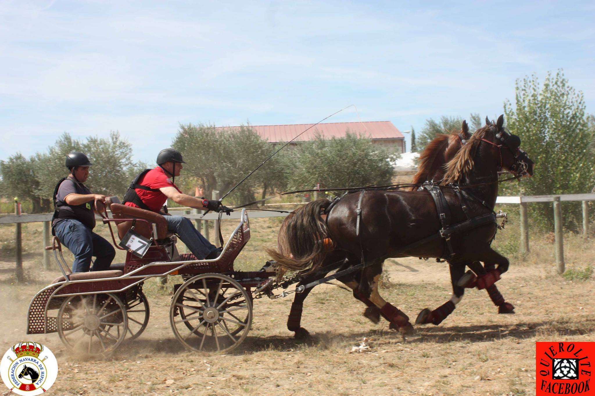 Olite acogió el Campeonato Navarro de Enganches